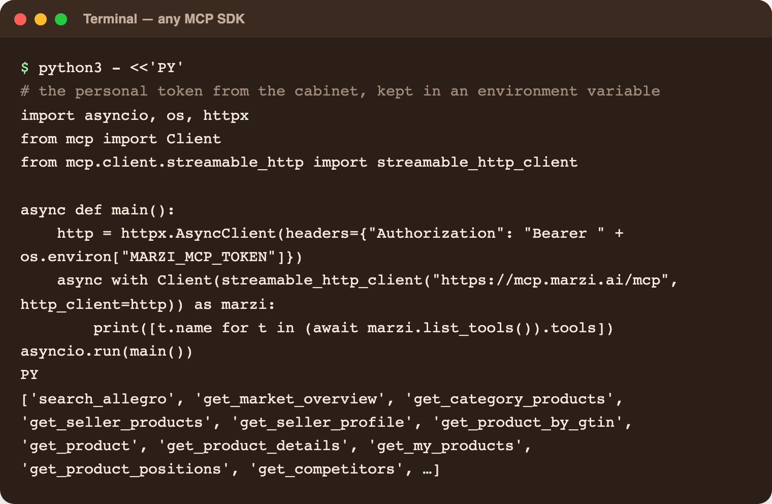 A terminal running the Python snippet: list_tools prints the Marzi function names